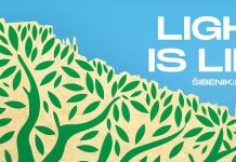 Light is life 2024